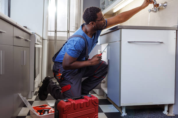 Best Local Plumber Services  in Linganore, MD