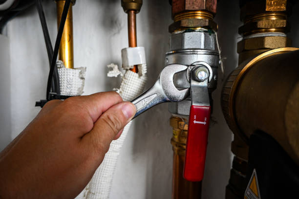 Best Shower Repair Services  in Linganore, MD